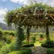 7 Ide Pergola Bambu untuk Tanaman Markisa, Wujudkan Taman Asri