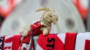 Seekor boneka kambing billy terlihat sebelum pertandingan antara FC Cologne vs RB Leipzig pada lanjutan Bundesliga divisi satu Jerman di Cologne (1/6/2020). Pertandingan yang digelar tanpa penontona akibat pandemi Covid-19 ben ini dimenangkan RB Leipzig dengan skor 4-2. (AFP/Ina Fassbender)