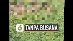 Kegiatan sejumlah warga di Pandeglang dianggap aliran sesat dan meresahkan. Mereka gelar ritual bersama tanpa memakai busana.