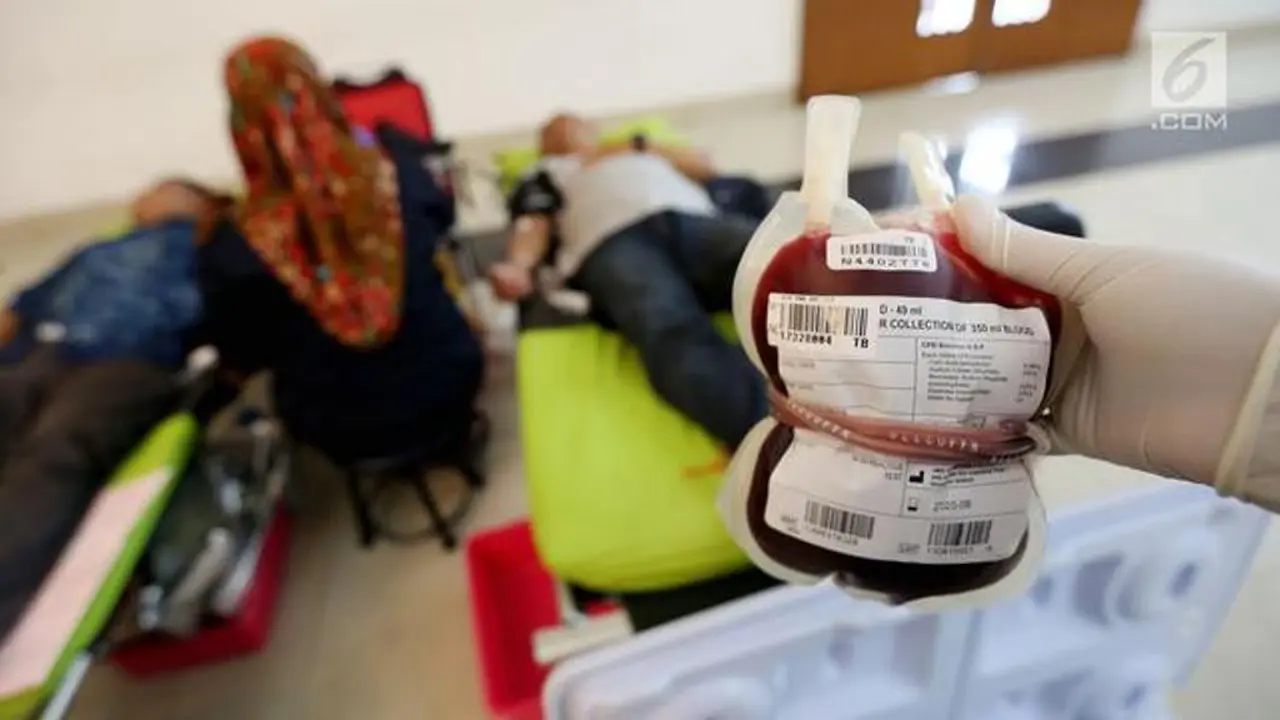 7 Mitos Soal Donor Darah Yang Sebaiknya Tak Dipercaya Hot