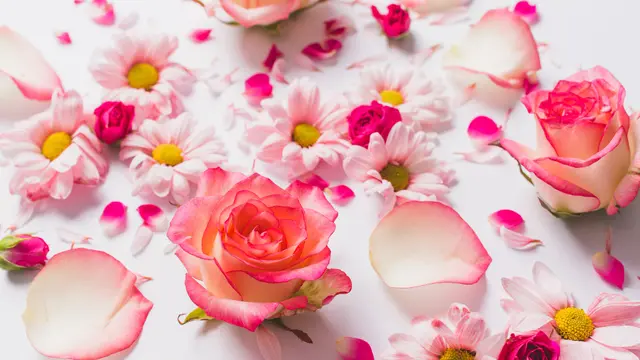 Arti Mitos Bunga Mawar yang Perlu Dipahami - Ragam Bola.com