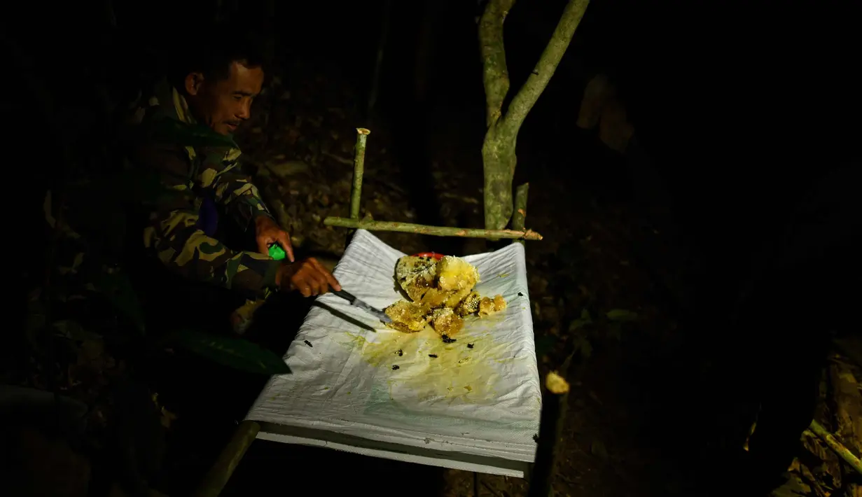 Pemburu madu tradisional Malaysia menyingkirkan lebah dari sarangnya untuk mengambil madu di hutan Ulu Muda yang lebih besar di Sik, sebelah timur laut negara bagian Malaysia, Kedah (12/3). (AFP Photo/Manan Vatsyayana)