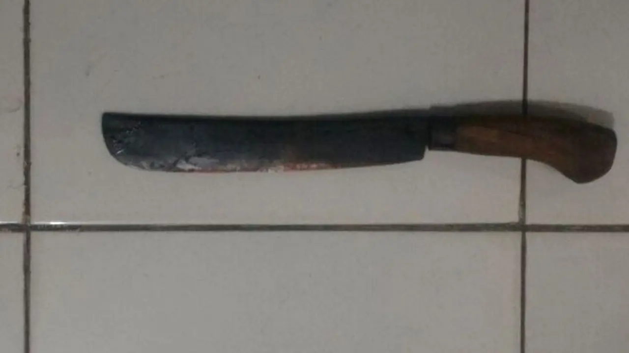 Ilustrasi - Golok