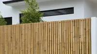 10 Pagar Rumah Sederhana Tapi Cantik dan Terlihat Mewah di 2025