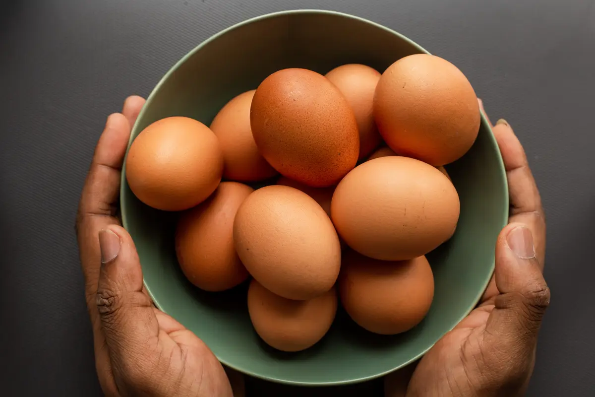 ilustrasi telur