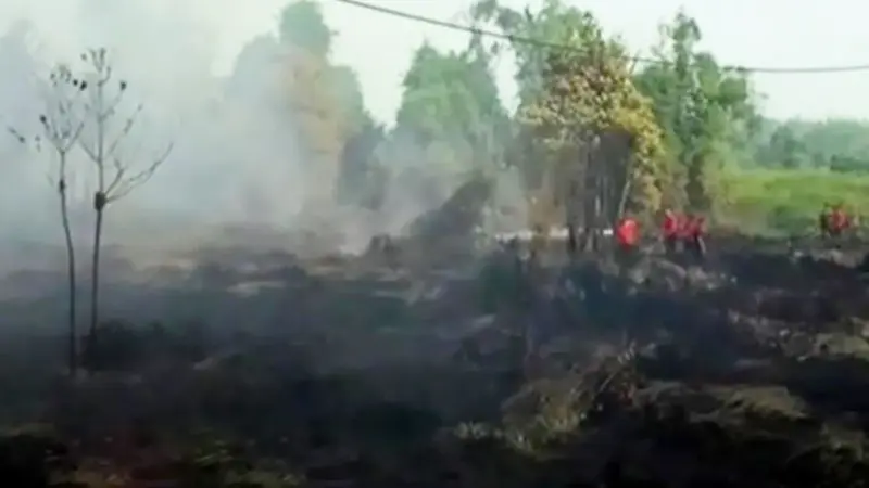 Kebakaran Lahan Jambi Merusak 900 Hektare Hutan dan Kebun Warga