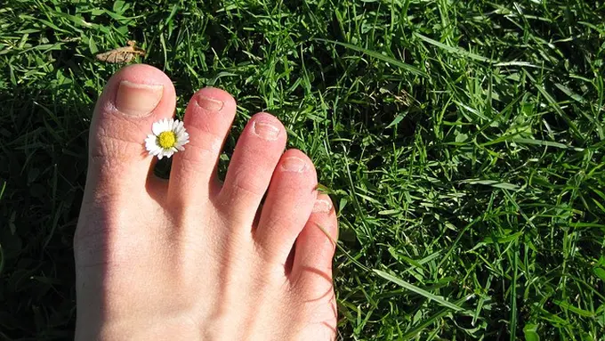 Ilustrasi Kuku Jari Kaki