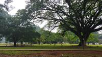 Kebun Raya Bogor