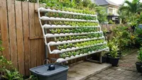 6 Model Hidroponik di Pagar Rumah, Solusi Berkebun Hemat Tempat