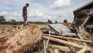 Seorang pria mencari sisa-sisa rumahnya yang terkubur di bawah tumpukan pohon tumbang yang disapu banjir bandang, di desa Lintang Bawah, Aceh Tamiang, Sumatera Utara, pada Kamis 11 Desember 2025. Banjir bandang dan longsor yang menerjang Aceh, Sumatera Utara, dan Sumatera Barat yang terjadi pada 25 November 2025 lalu mengakibatkan kerusakan parah pada sejumlah wilayah, salah satunya desa Lintang Baru di Aceh Tamiang. (Aditya Aji/AFP)