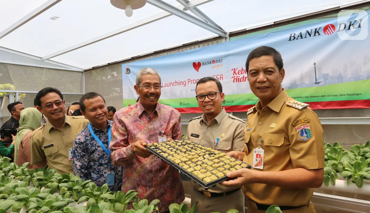 Walikota Kota Jakarta Barat, Rustam Effendi (kanan) Dirut Bank DKI, Zainuddin Mappa (tengah) saat meninjau tanaman hidroponik pada peluncuran program CSR kebun hidroponik Bank DKI di Rusunawa KS. Tubun, Jakarta (15/10/2019). (Liputan6.com/HO/Budi)