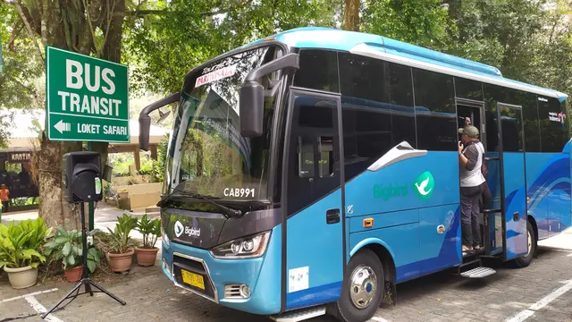 Bus Rute Jakarta - Taman Safari Indonesia, Bogor.