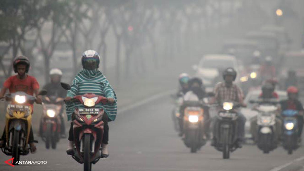 Kabut Asap di Sumbar Makin Pekat, Jarak Pandang 100-800 Meter