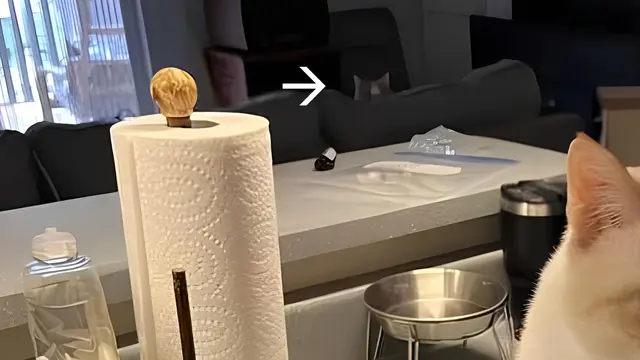 Ilusi Optik