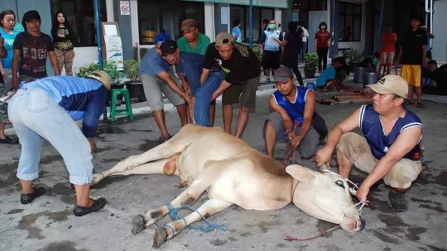 Menengok pemotongan hewan kurban di Rutan Pondok Bambu