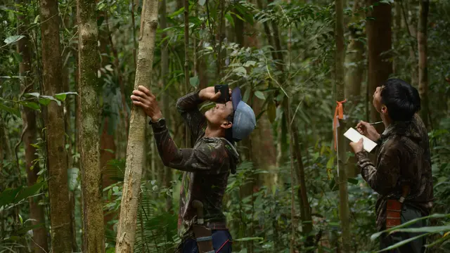 Masyarakat Adat Kalimantan Suarakan Perlindungan Biodiversitas di COP 16 CBD
