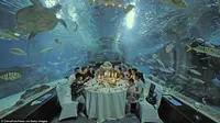 Tianjin Haichang Polar Ocean World hadirkan sensasi menyantap makanan di tengah akuarium raksasa.