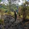 Kebakaran Hutan Gunung Semeru, 170 Pendaki di Ranu Kumbolo Dievakuasi