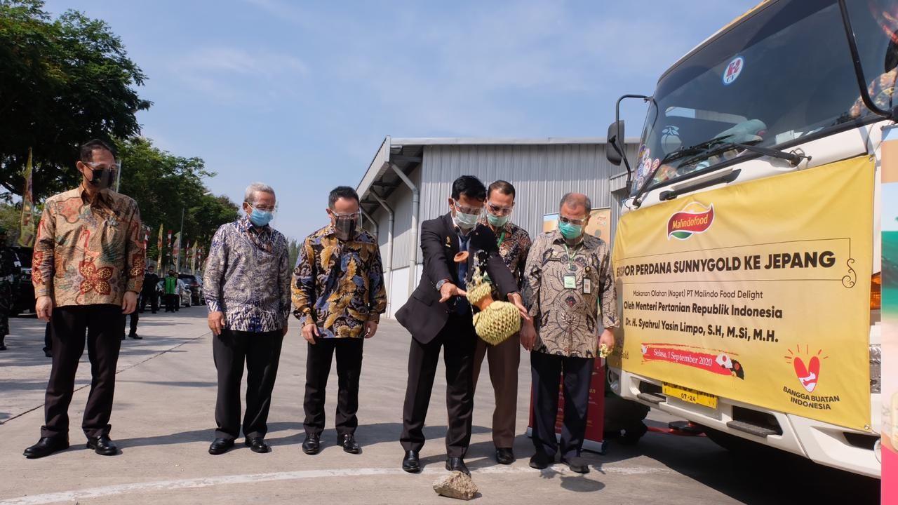 Kementerian Pertanian melakukan ekspor produk daging ayam olahan ke Jepang di Tengah Pandemi Covid-19 sebanyak 6 ton. (Dok Kementan)