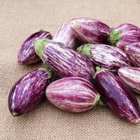 Buang Air 5 Makanan Ini Efektif Lancarkan Buang Air Besar saat 