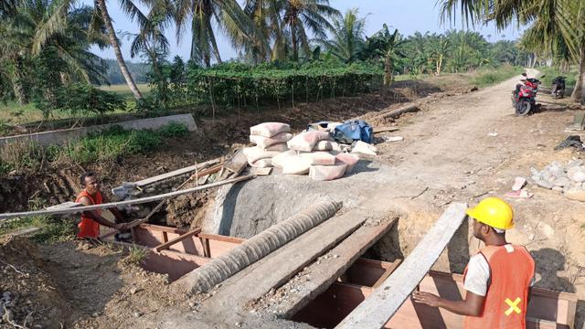 Genjot Produksi Pertanian, Kementan Optimasi Lahan Rawa 500 Hektar di Aceh Utara