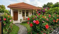 12 Tanaman Hias Outdoor Tahan Panas untuk Halaman Rumah, Cantik dan Mudah Dirawat