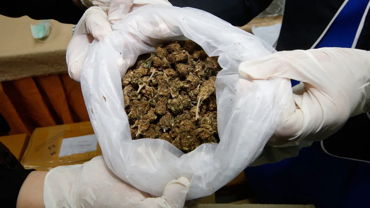 Ganja Sitaan