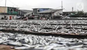 Kepala BPOM Soroti Video Viral Ikan Asin Diduga Disemprot Baygon