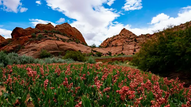 Buckskin Gulch