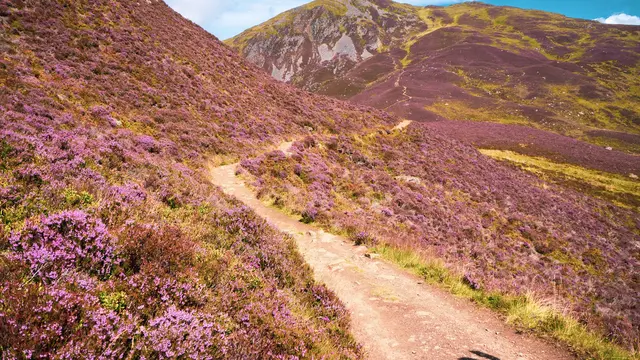 Cairngorms National Park