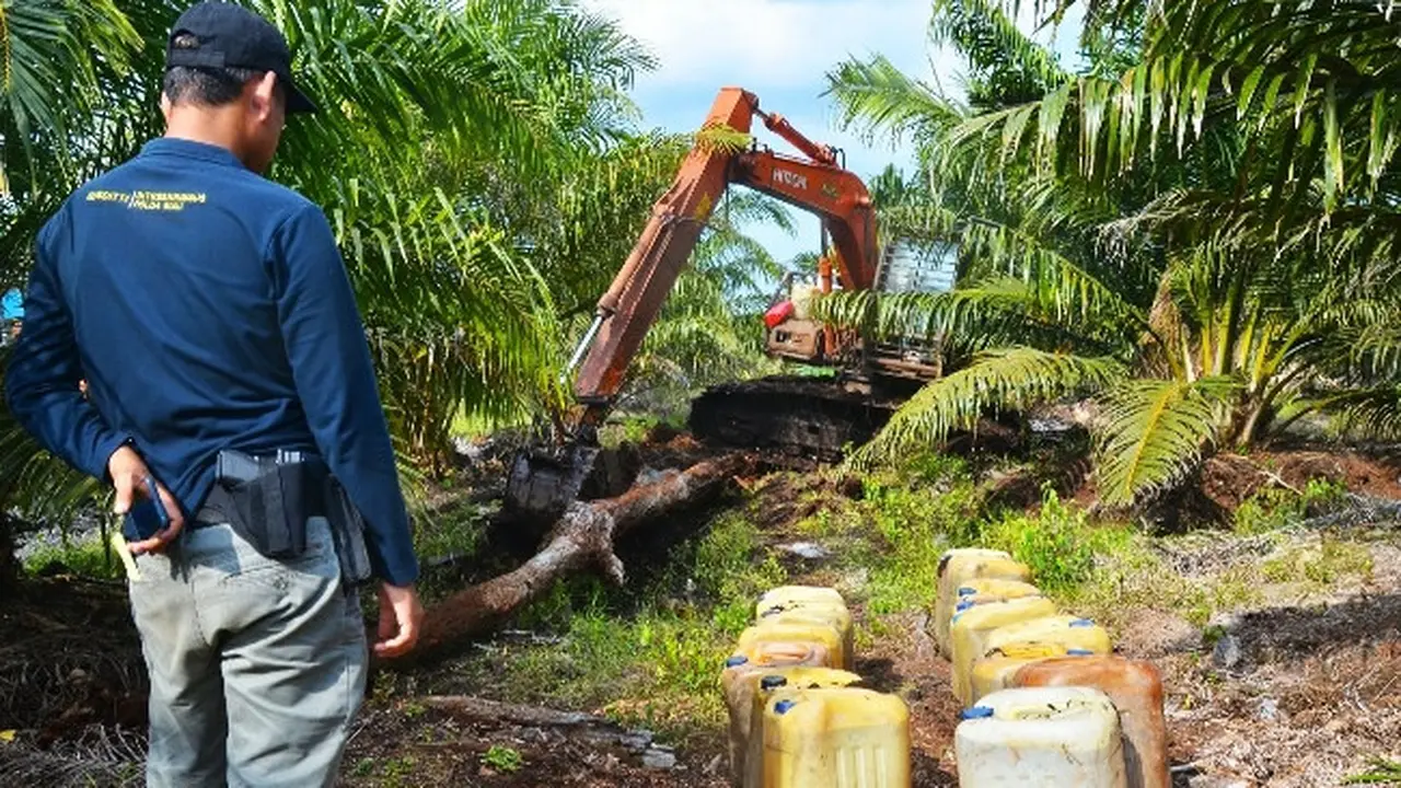 Polisi menghentikan alat berat yang sedang melakukan perambahan hutan untuk diubah menjadi perkebunan sawit. (Liputan6.com/M Syukur)