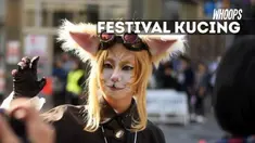 Semua orang boleh datang, asal menggunakan kostum menyerupai kucing.