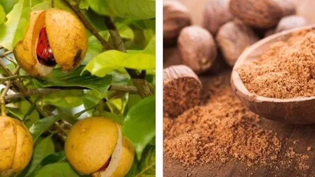 7 Bumbu Dapur Termahal, Ada yang Seharga Rp 84 Juta per Kilogram
