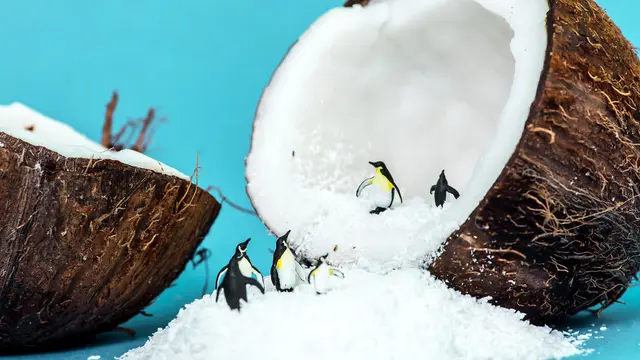 Diorama Berbahan Makanan