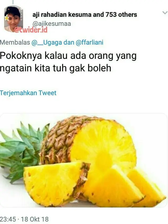 Kejeniusan Warganet Bikin 9 Cuitan Receh Bergambar Ini Kocak Banget