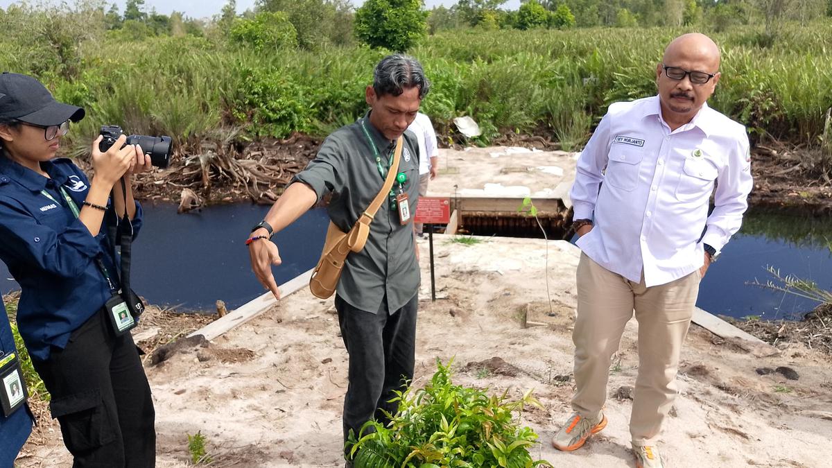 Perlunya Optimalisasi Infrastruktur Pembasahan Gambut, Antisipasi Kebakaran Lahan di Kalteng Berita Viral Hari Ini Kamis 19 September 2024