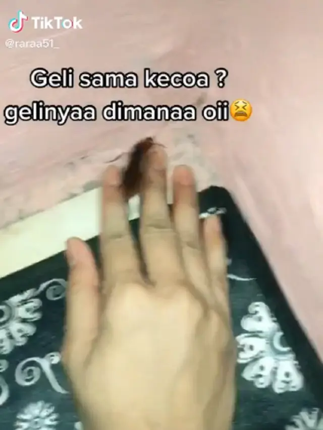 tangkap kecoak