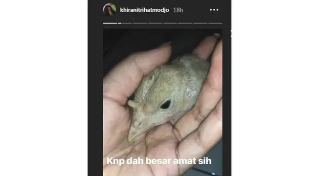 Mayangsari