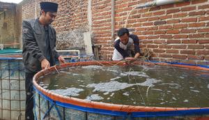 Dibantu salah satu masyarakat sekitar, Aceng Busyrol tengah memberikan pakan ikan pada budidaya ikan lele secara Biofok di pesantren Al-Hidayah Nangoh, Garut, Jawa Barat. (Liputan6.com/Jayadi Supriadin)