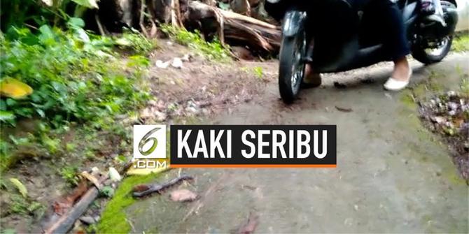 VIDEO: Hindari Kaki Seribu, Emak-Emak Jatuh Dari Motor