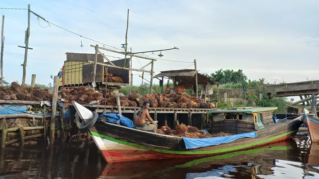 Sawit Jambi