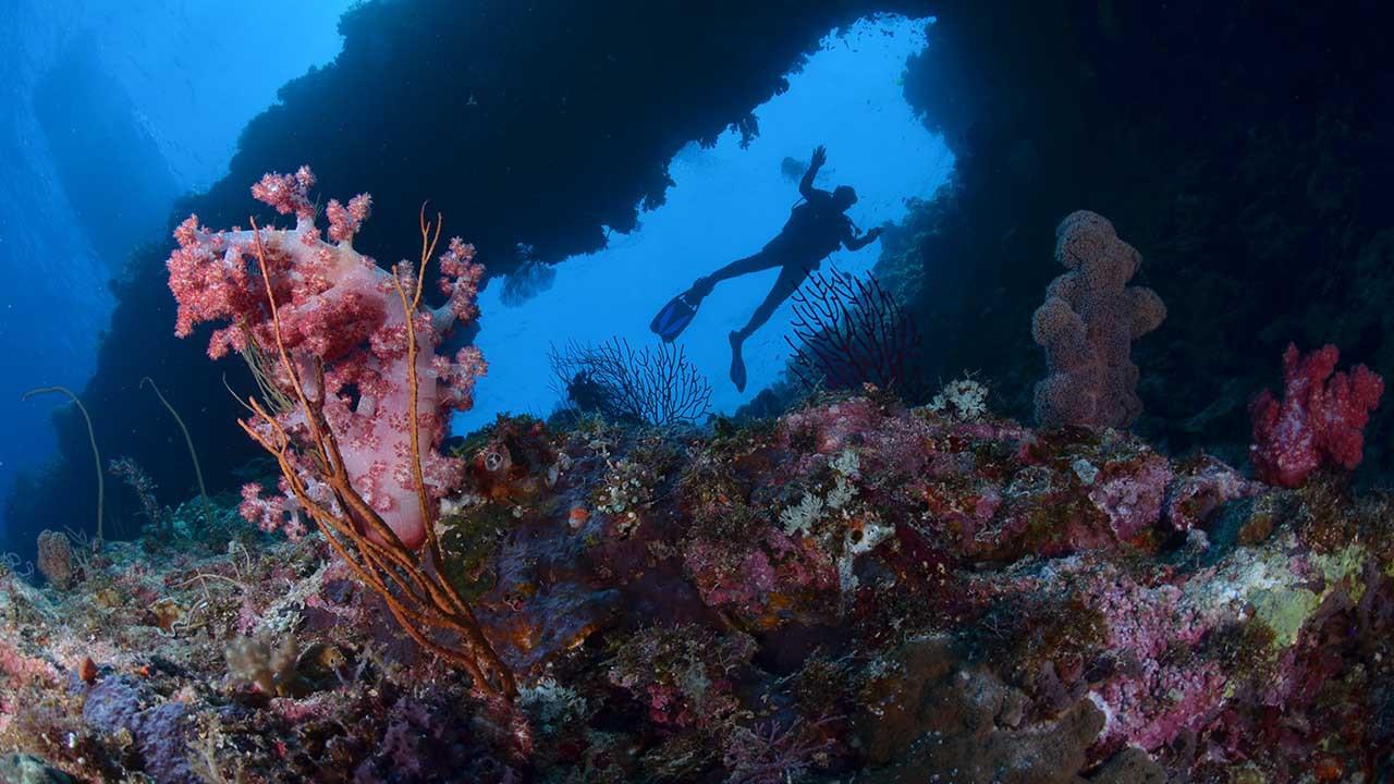 Jadilah Saksi Keajaiban Bawah Laut di Festival Teluk Maumere 2016