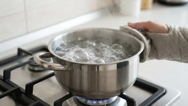 Trik Merebus Sayur Frozen agar Warna Tetap Hijau dan Kandungan Gizinya Terjaga