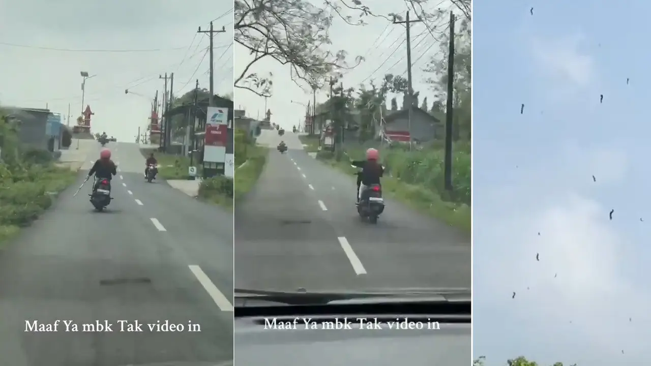 Viral dikira klitiih ternyata panik karena ulat jati
