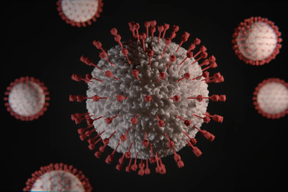 Corona Virus