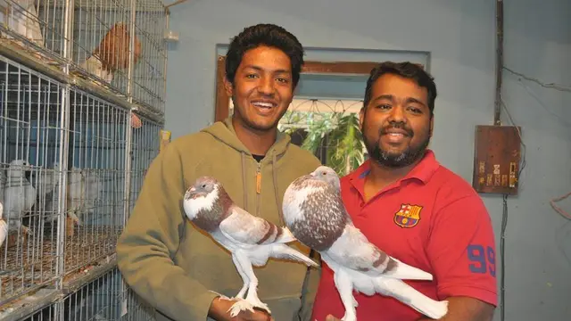Peternak merpati: Raju Hanif & Evan Chowdhury