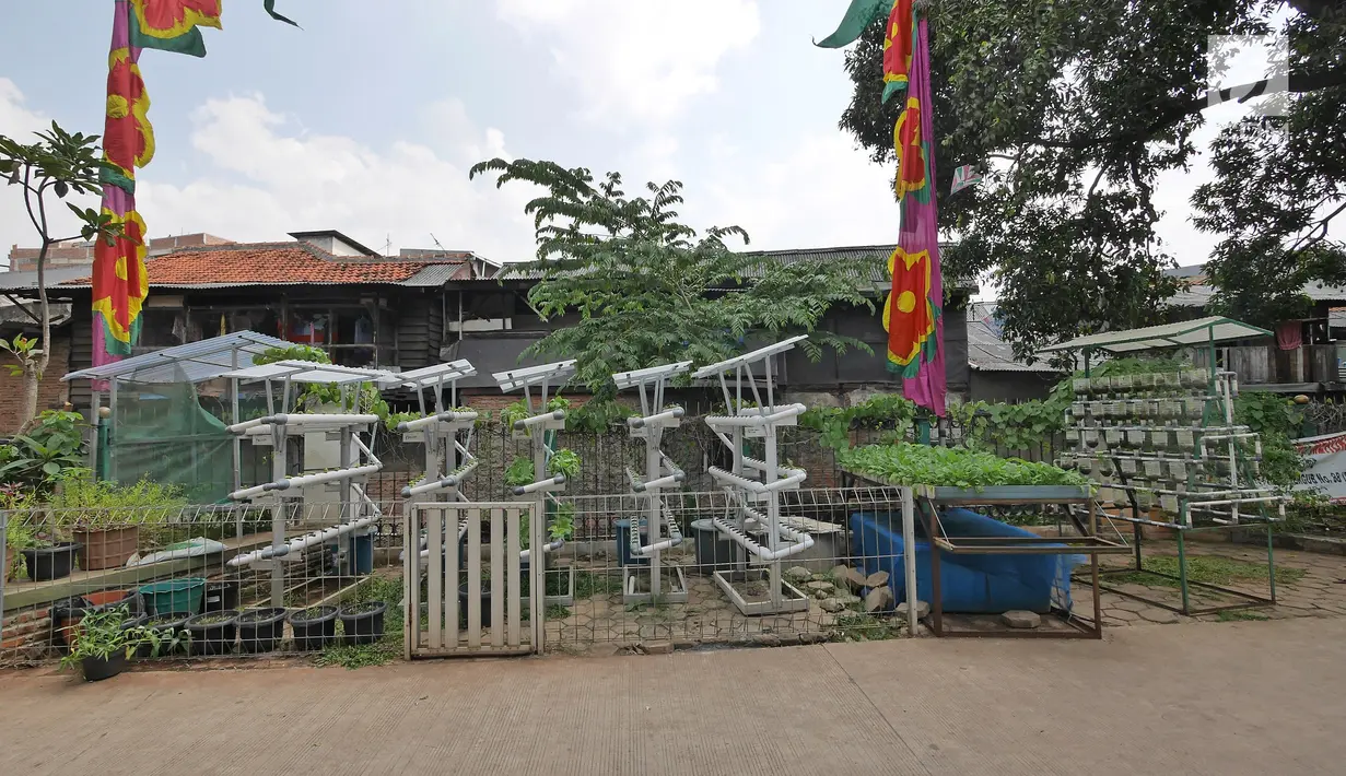 Taman hidroponik di RPTRA kawasan Mangga Dua Selatan, Jakarta, Minggu (6/5). Sebelum dirubah menjadi RPTRA dua tahun lalu, kolong rel kereta tersebut merupakan tempat parkir dan tempat sampah. (Liputan6.com/Herman Zakharia)