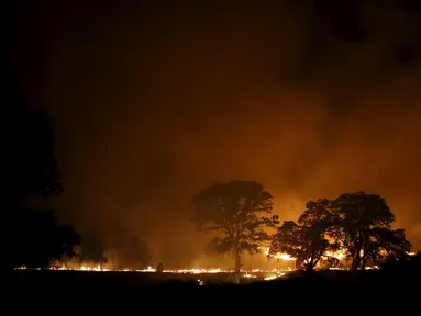 Kebakaran besar terjadi di sebelah utara Kota San Francisco. Api dilaporkan telah melalap lahan seluas lebih dari 145 kilometer per segi, California, Amerika Serikat, Senin (3/8/2015). (Reuters/ Stephen Lam) 