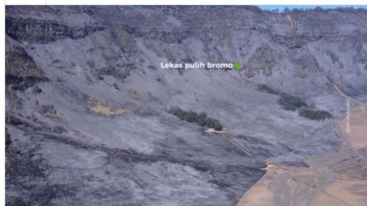 Bikin Miris, Viral Video Pemandangan di Savana Gunung Bromo Sebelum dan Sesudah Terbakar