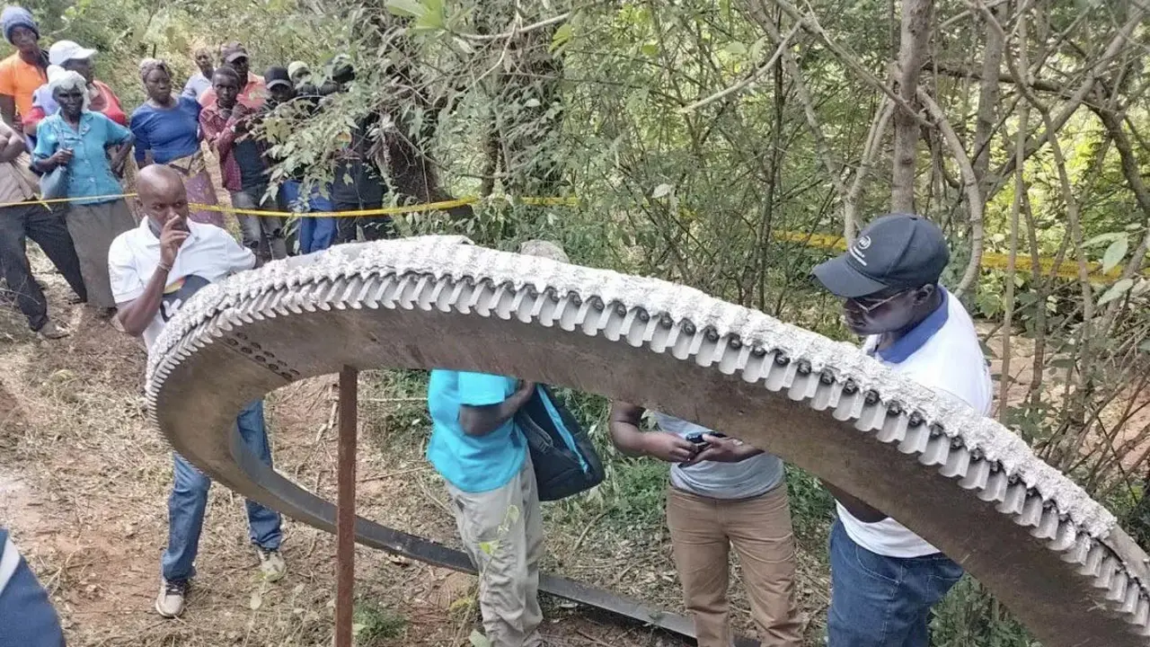 Cincin misterius di Kenya. (KSA)